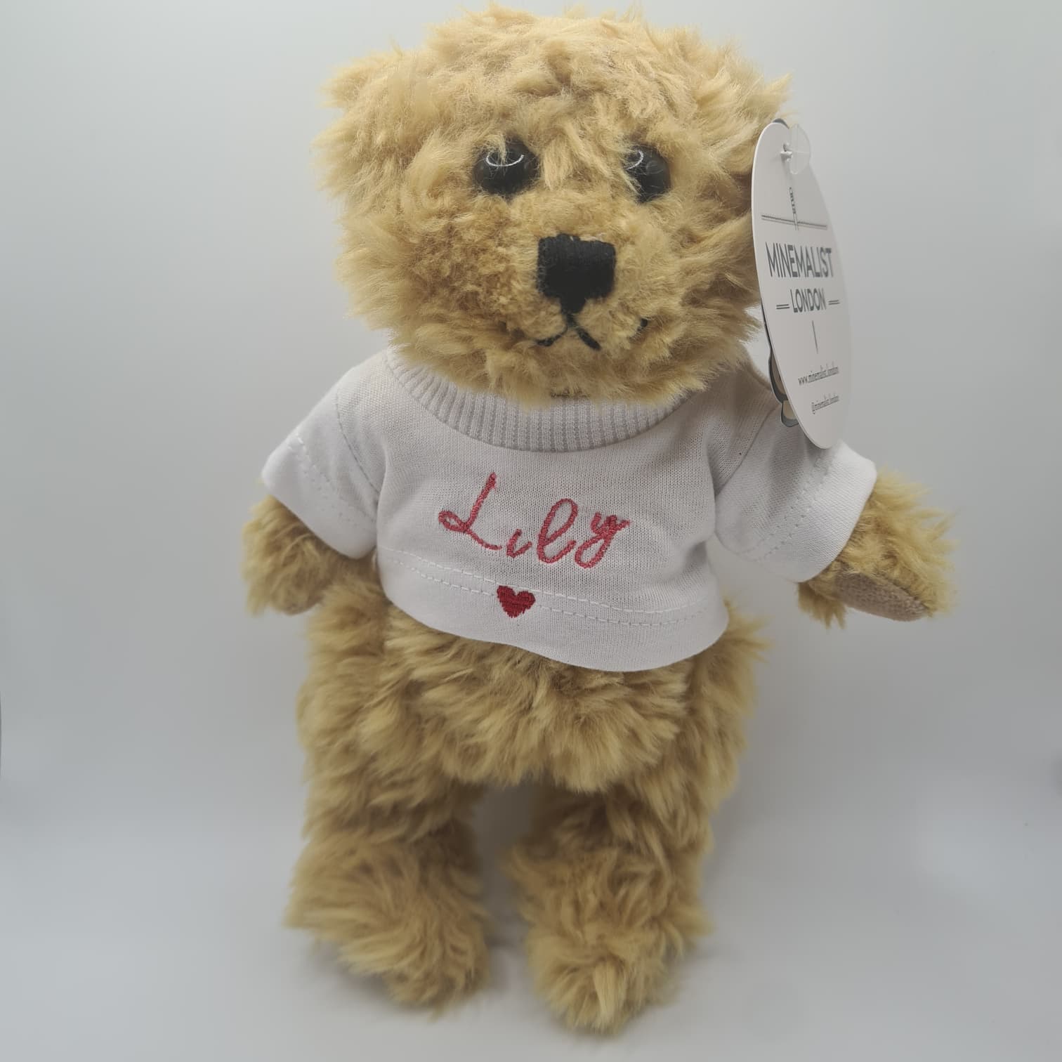 Personalised Teddy Bear with Embroidered Name or Initials
